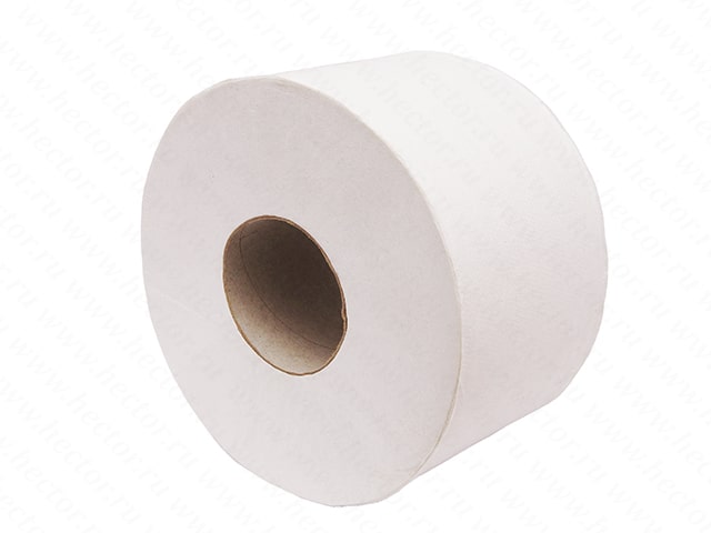 Туалетная бумага 160 м (2-слой, белая)